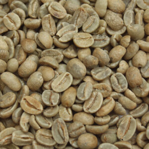 Dominican Republic: Organic Ramirez Red Honey, Jarabacoa (Green)