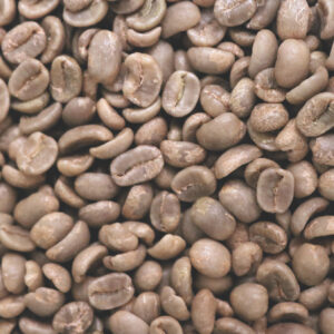 Costa Rica: La Gladiola, Tarrazu (Green)