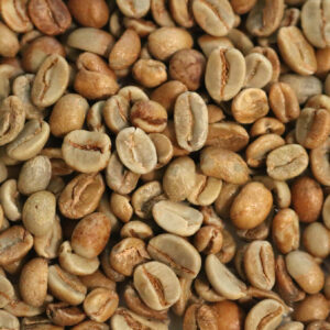 Honduras: Organic 18 Rabbit Natural, Marcala (Green)