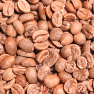 Honduras: Organic 18 Rabbit Washed, Marcala (Green)