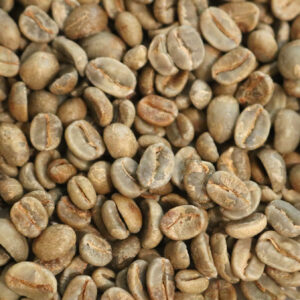 Honduras: Organic 18 Rabbit Black, Marcala (Green)