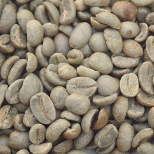 Mexico: Rancho San Francisco, Chiapas (Green)