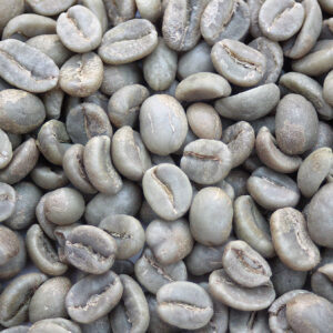 Colombia: Reserva Del Patron, Nariño (Green)