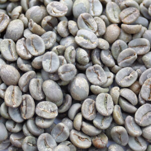 New Arrival! Brazil: Oberon, Cerrado (Green)