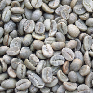 New Arrival! Colombia: Supremo EP (Green), Huila