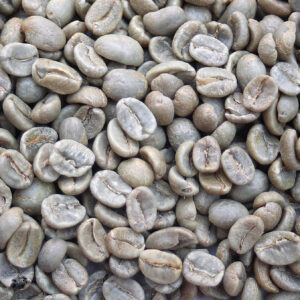 Costa Rica: El Conquistador (La Gloxinia), Tarrazu (Green)