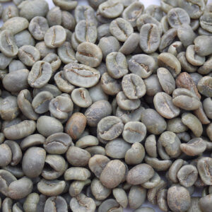 Costa Rica: La Magnolia, Tres Rios (Green)