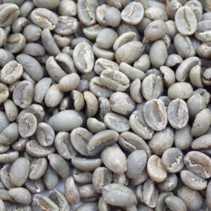 New Arrival! Ethiopia: Organic Konga G2, Yirgacheffe