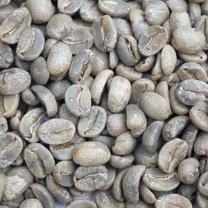 Haiti: Organic Haitian Blue, Norde (Green)