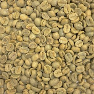 New Arrival! Costa Rica: Organic La Amistad (Green), Coto Brus