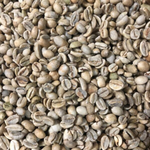 Ethiopia: Kembata G1, Durame Village