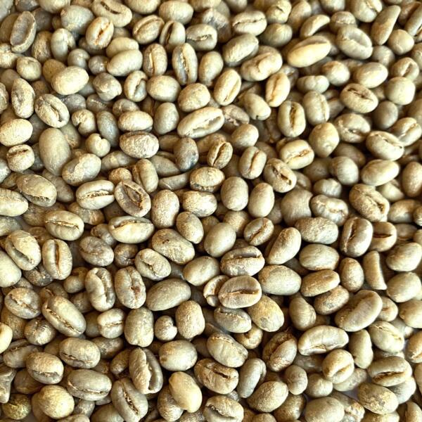 Guatemala: La Flor Del Cafe Peaberry, Antigua (Green)