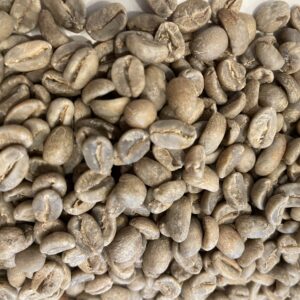 Guatemala: Finca Santa Margarita, Acatenango (Green)