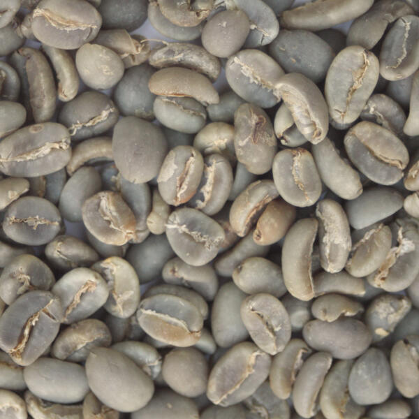 Java: Organic Taman Dadar, Kayumas (Green)