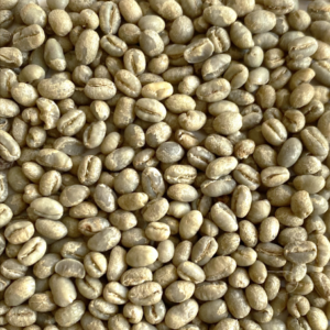 Kenya: Peaberry Plus 15/16, Kirinyaga County (Green)