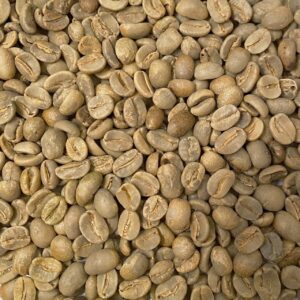 Mexico: La Laja Honey, Veracruz (Green)