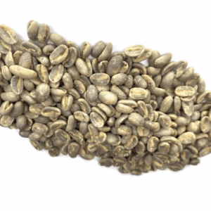 New Arrival! Panama: Janson Farms Geisha, Volcan High Lands (Green)