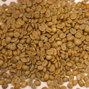 El Salvador: Finca la Siberia, Chalchuapa (Green)