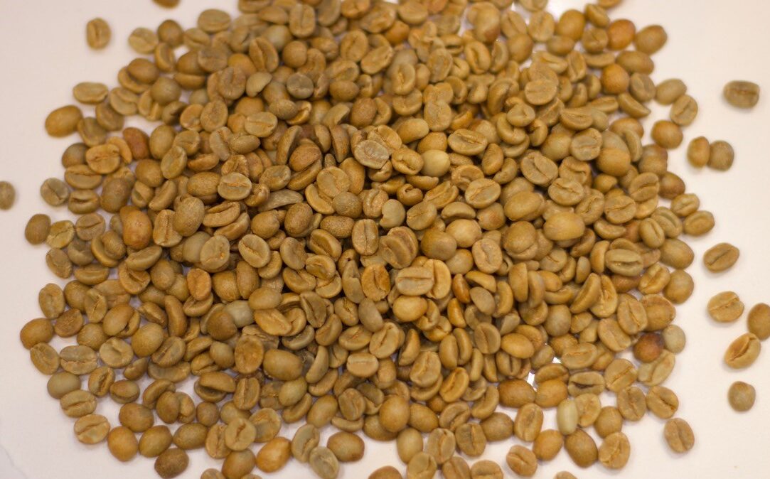 El Salvador: Finca la Fany, Apaneca (Green)