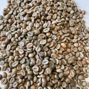 India: Cherry Robusta, Karnataka (Green)