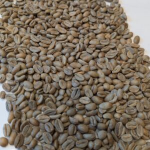 (PAST CROP) Nicaragua: Organic Finca Las Dos Marias Natural, Venecia (Green)