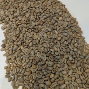 Ethiopia/Yemen: Red Sea (Blend, Green)