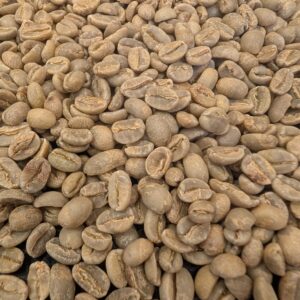 Panama: Finca La Santa, Boquete (Green)