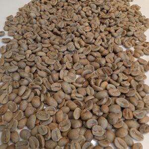 Timor: Organic Heritage Reserve, East Timor (Green)