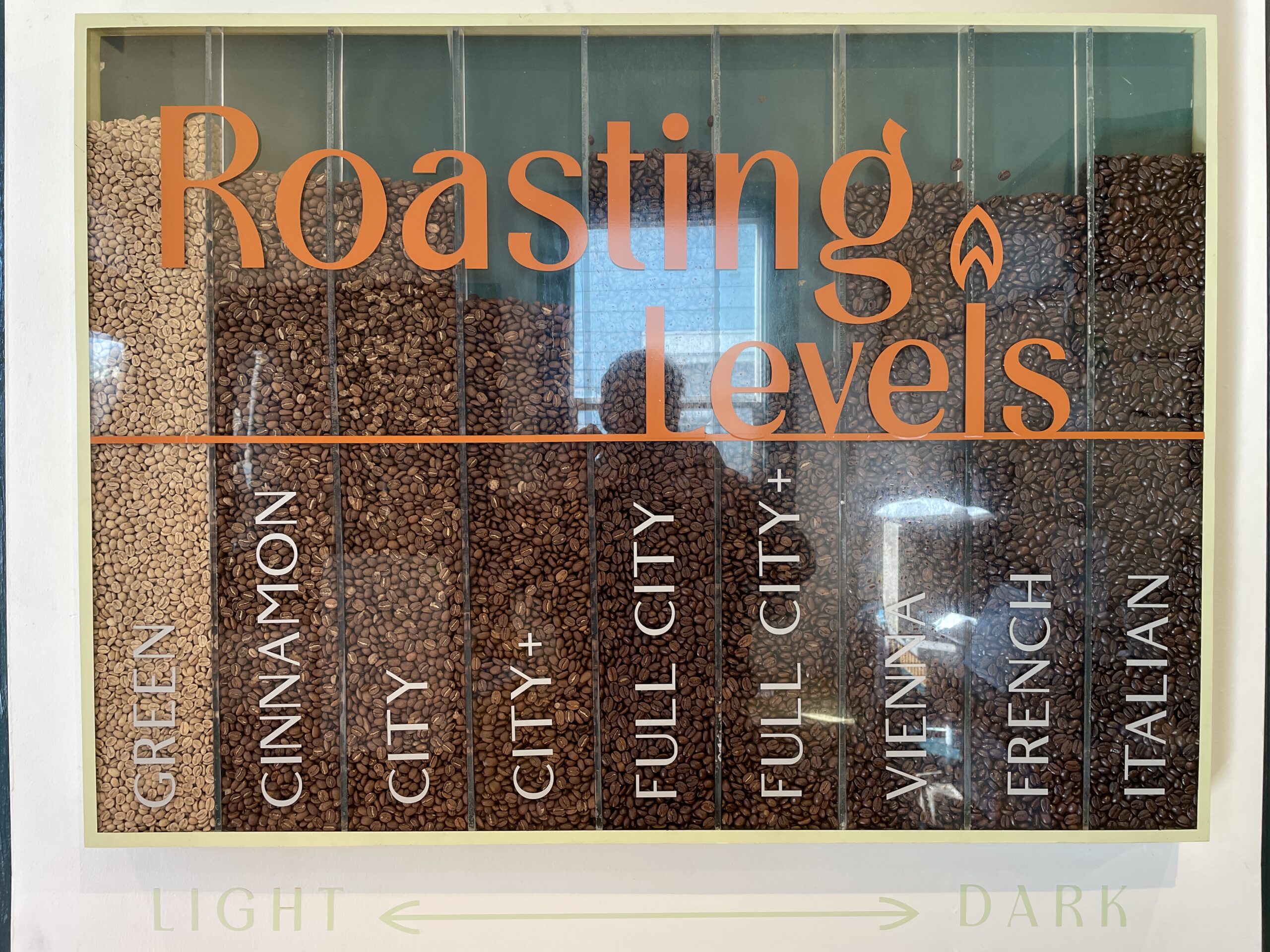 Colombia: El Gato Supremo, Bucaramanga (Roast-to-Order)