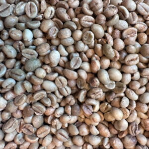 Uganda: Kaweri Robusta, Mubende (Green)