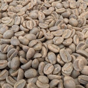 New Arrival! Uganda: Mt. Elgon, Bugisu (Green)