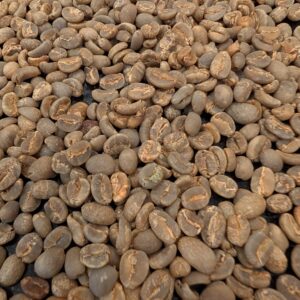 New Arrival! Sumatra: Mandheling G1, Aceh (Green)